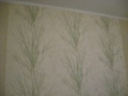 Фото ремонт 65